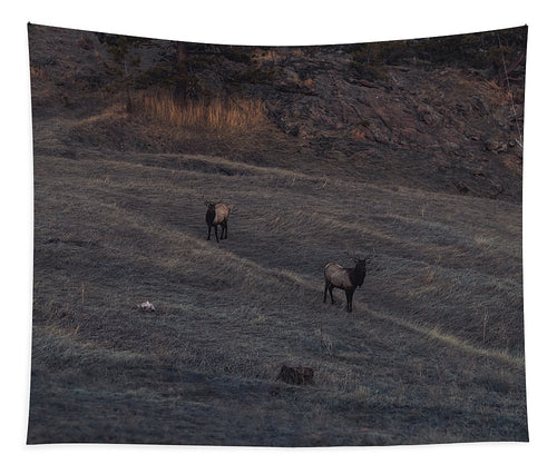 Elk  - Tapestry