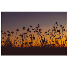 Load image into Gallery viewer, Flowers Sunset - UrbanImpression