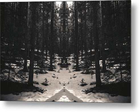 Snow Forest edit - Metal Print