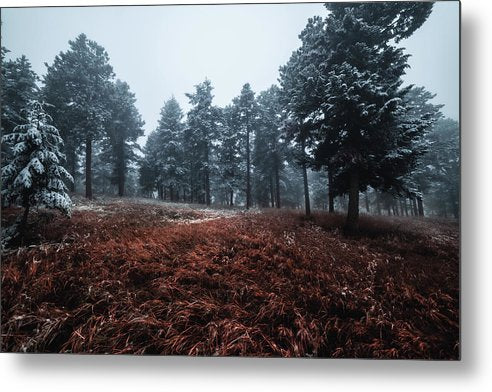 Snowy Hill - Metal Print - UrbanImpression