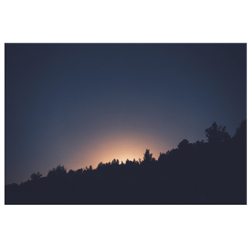 Tree Line Sunrise - Canvas