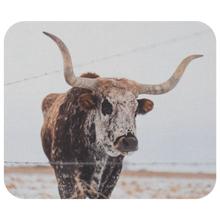 Laden Sie das Bild in den Galerie-Viewer, Longhorn - Mousepad