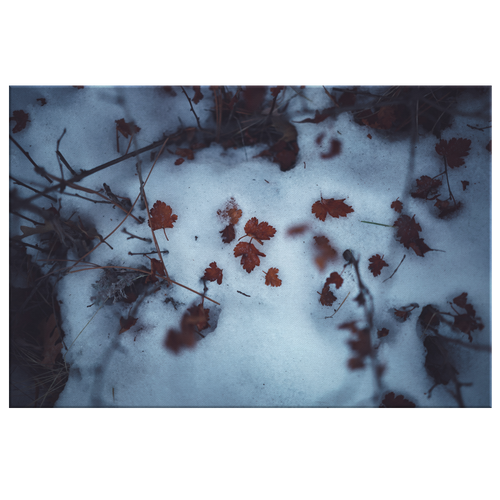 Snowy Leaves - Canvas