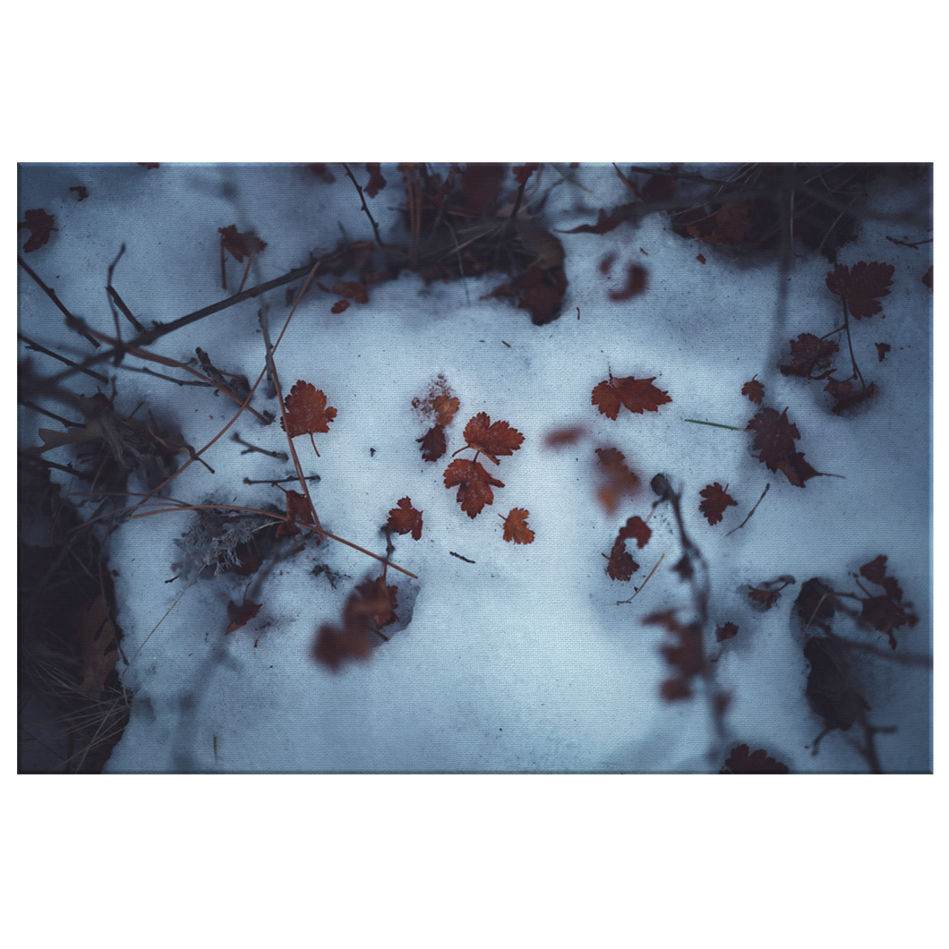 Snowy Leaves - Canvas