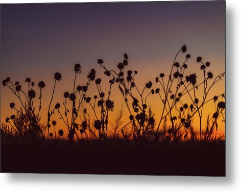 Flower sunset - Metal Print - UrbanImpression