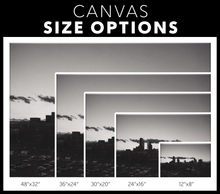 Load image into Gallery viewer, Denver Skyline - Canvas