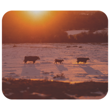 Laden Sie das Bild in den Galerie-Viewer, Cow Family - Mousepad