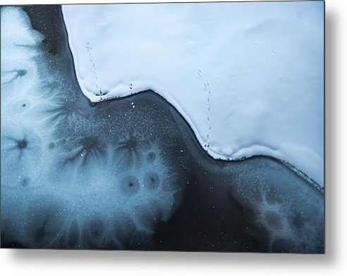 Ice Patterns - Metal Print