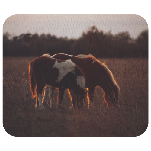 Mini Horses - Mousepad