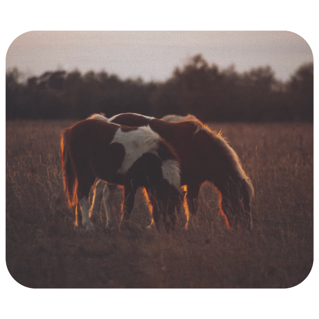 Mini Horses - Mousepad