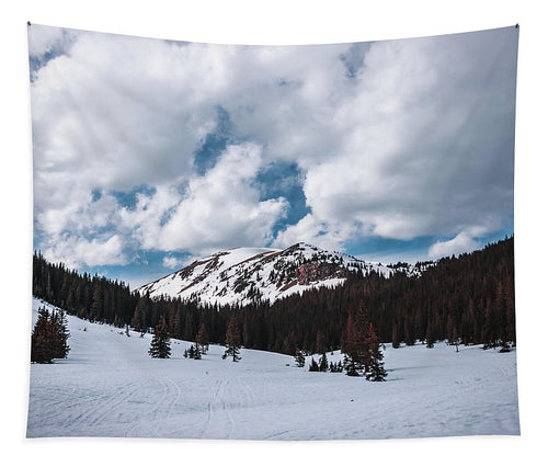 Snowy Mountain - Tapestry