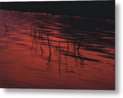 Sunrise Reflection - Metal Print