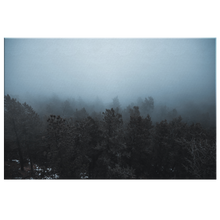 Load image into Gallery viewer, Foggy Trees - Canvas