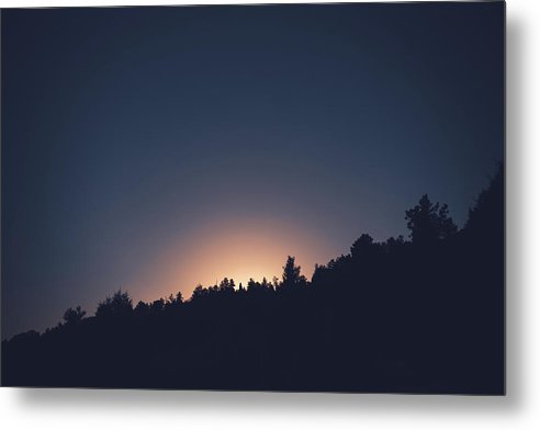 Tree Line Sunrise - Metal Print