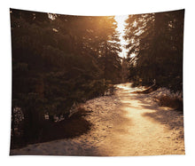 Load image into Gallery viewer, Winter Hike - Tapestry