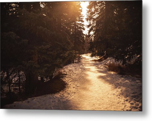 Winter Hike - Metal Print